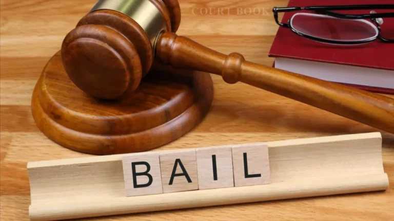 Delhi High Court Releases Woman on Interim Bail to Care for Newborn Delivered in Jail