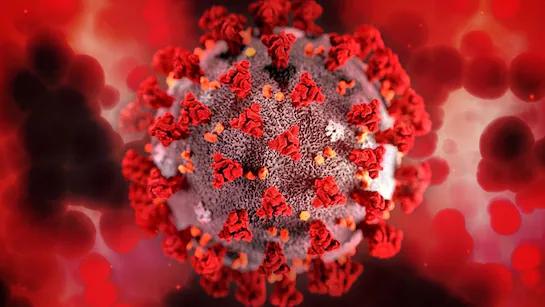 Supreme Court Seeks Centre’s Stand on Compensation for COVID-19 Vaccine-Related Deaths