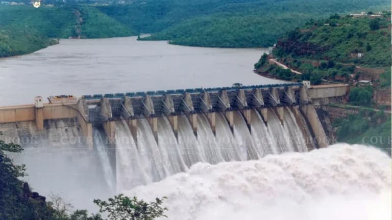 Water from Bhakra Nangal Dam is Lifeline for Haryana Farmers: State Tells High Court in Dispute with Punjab