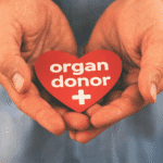 Need for Organ Transplant is a Fundamental Right Under Article 21: Bombay High Court