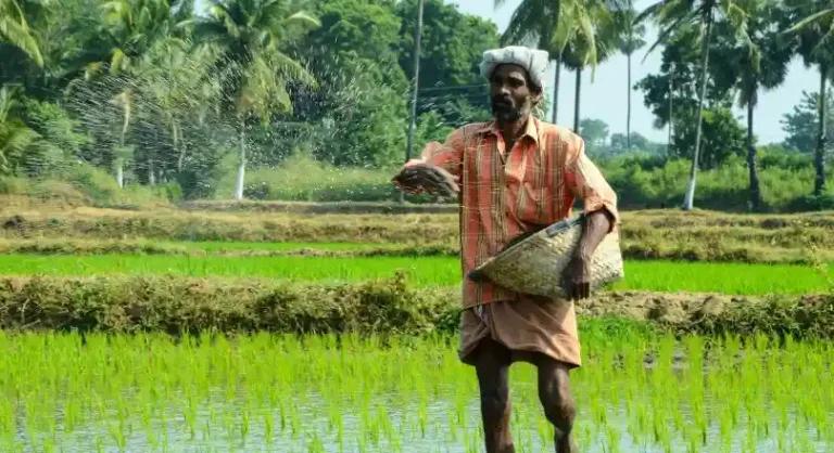 Sowing Crop Not Valid Ground for Interim Bail: Punjab & Haryana High Court Dismisses Plea in Gurmeet Singh v. State of Punjab