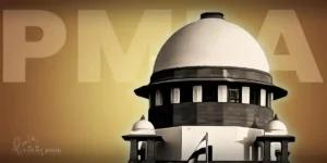 The Supreme Court Allowed the Transfer of Confiscated Property of the M3M Group. What Was the Allegation?