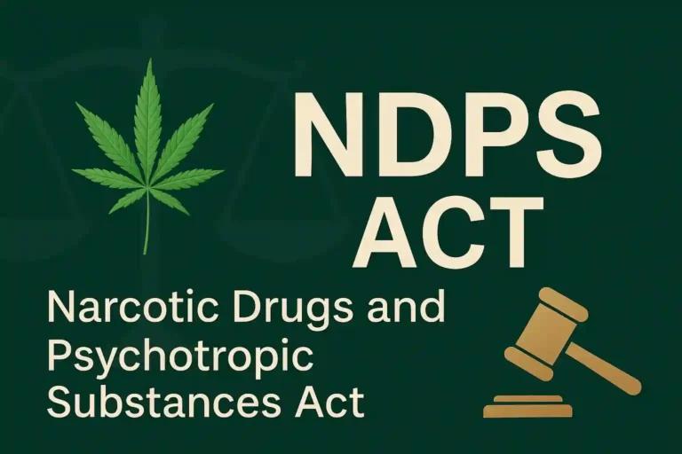 Kerala High Court Refuses to Quash Cannabis Cultivation Case, Says Growing Plants in Pots Also Violates NDPS Act