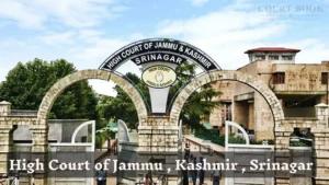 Jammu & Kashmir High Court Acquits Man in Wife's Murder Case, Cites Contradictions and Investigation Flaws