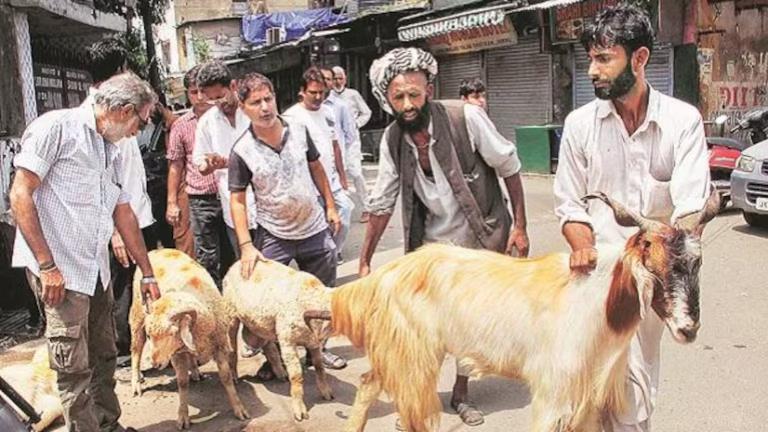 Bombay High Court Allows Animal Sacrifice at Dargah in Vishalgad Fort for Bakri-Eid and Urs Celebrations