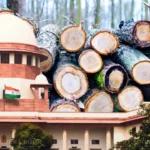 Vacation bench of Supreme Court refuses immediate intervention in Himachal tree felling case