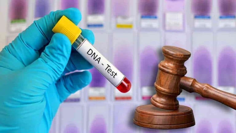 DNA Test Cannot Be Used to Prove Adultery in Divorce Case: Andhra Pradesh High Court