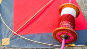 Bombay High Court Slams Maharashtra’s ‘Episodic’ Nylon Manjha Action; Orders Statewide Task Force and Online Crackdown