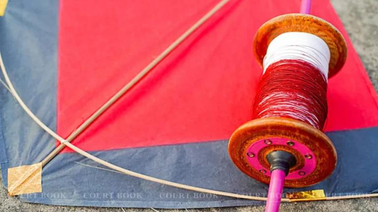 Bombay High Court Slams Maharashtra’s ‘Episodic’ Nylon Manjha Action; Orders Statewide Task Force and Online Crackdown