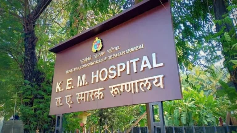 Bombay High Court Orders Maternity Benefits for Contractual Doctor at KEM Hospital, Quashes BMC Rejection