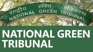 NGT Slaps Rs10,000 Penalty on North Delhi DM for Misleading Tribunal Over Factory Fire Compensation Case