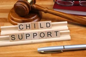 Himachal High Court Partly Allows Children's Plea, Grants Enhanced Maintenance to Son Till 2020