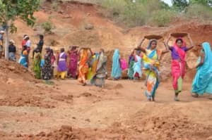 Meghalaya High Court Directs State to Probe Forced Resignation Row in Alokdia Village Employment Council, Gives 8 Weeks for Action