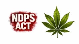 Arrest Illegal for Not Telling Reasons: Tripura High Court Grants Bail in NDPS Case