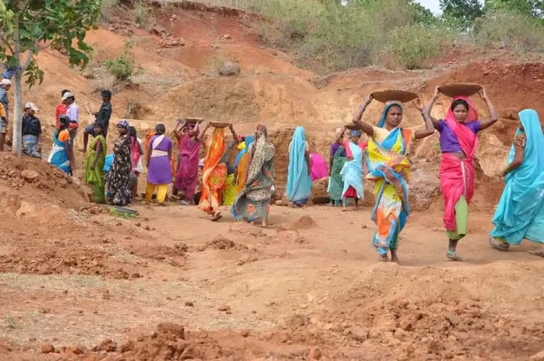 Meghalaya High Court Directs State to Probe Forced Resignation Row in Alokdia Village Employment Council, Gives 8 Weeks for Action