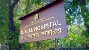 Bombay High Court Orders Maternity Benefits for Contractual Doctor at KEM Hospital, Quashes BMC Rejection