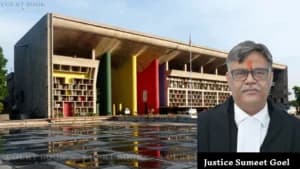 Can You Undo What Your Lawyer Said in Court? Punjab HC Delivers Strong Verdict in Haryana Murder Case